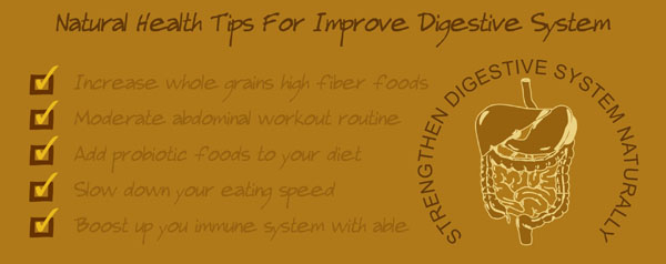 how to improve digestive system, best vitamins and supplements improve digestion, digestion health, best probiotics, fermented, stomach acid, digestive enzyme