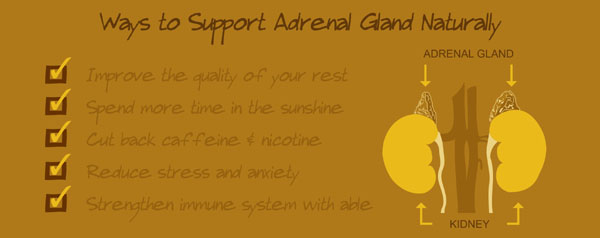 how to prevent adrenal gland disorders, best vitamins supplements for adrenal gland support, adrenal insufficiency, adrenal gland problems and disorders