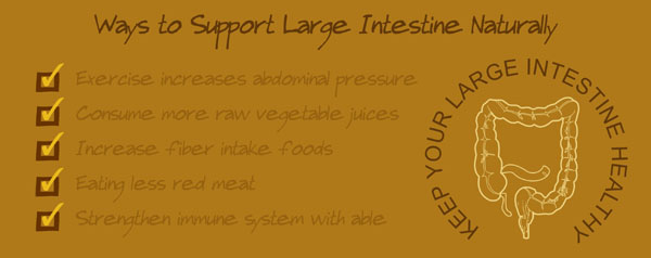 how to prevent large intestine problems, vitamins supplements for large intestine disorders, bowel obstruction, large intestine diseases cause pain