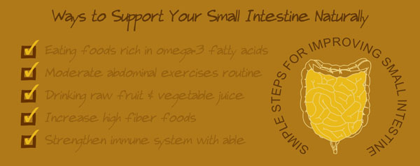 how to prevent small intestine disorders, vitamins and supplements improve digestive system, small intestine problems, small intestine disease cause pain or cramps