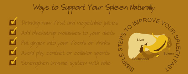 how to prevent spleen problems, best vitamins and supplements help spleen function, tips for spleen pain, disease, disorder, enlarged or swollen, spleen nutrition